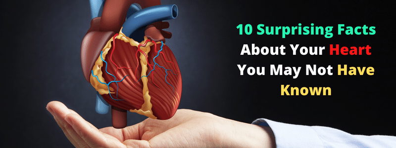 10 Surprising Facts about Heart You May Not Have Known